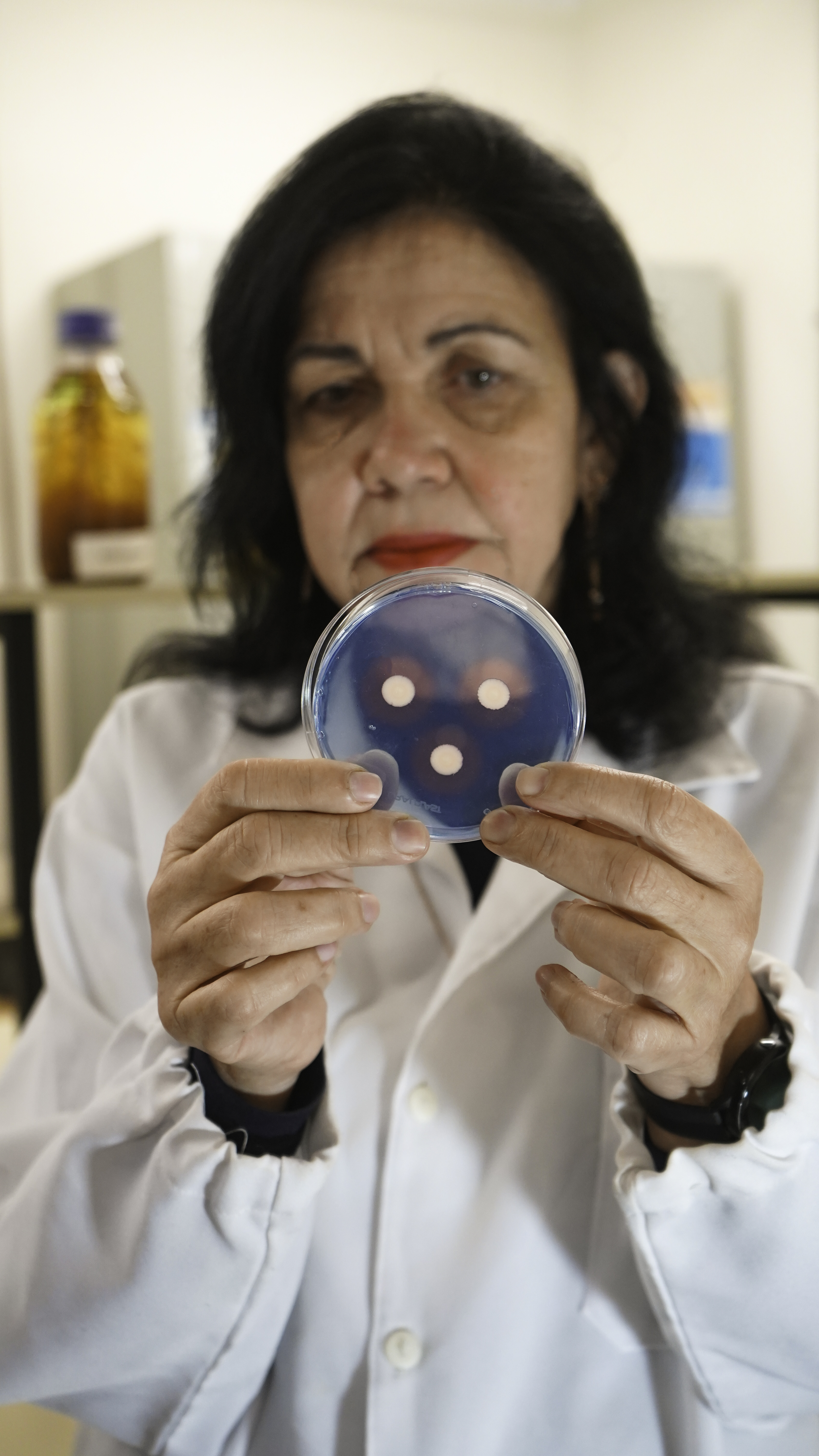 Engª Mariangela Hungria